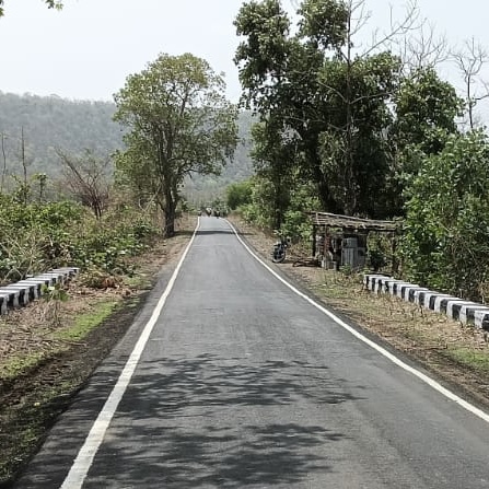 Bichua Jagir to Beel Kheda Regional Road